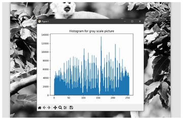 Histogram Equalization in Python Envato Tuts+