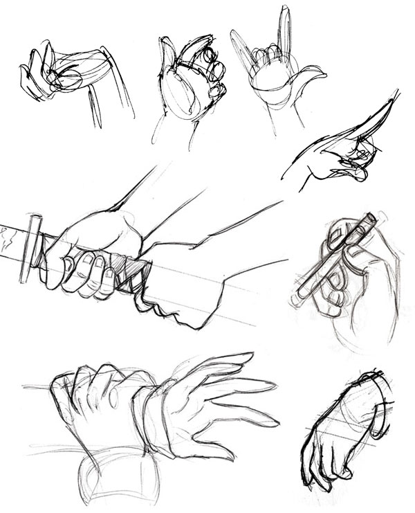 Human Anatomy Fundamentals How to Draw Hands