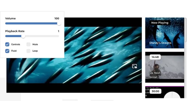 15 Best Html5 And Javascript Video Players (+5 Best Free Players)