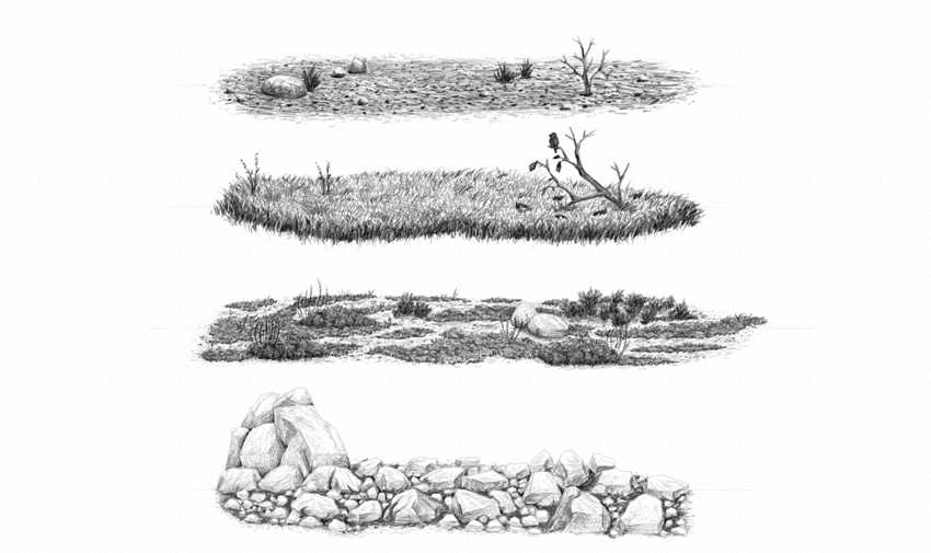 How to Draw Grass, Ground, and Rocks
