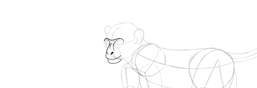 How To Draw A Monkey Step By Step