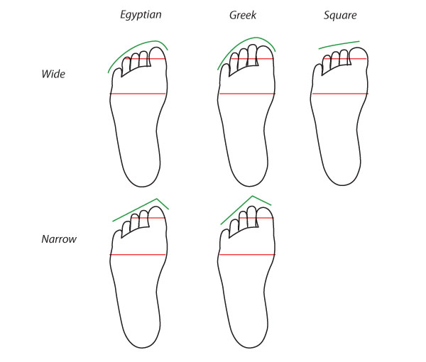 Human Anatomy Fundamentals How to Draw Feet