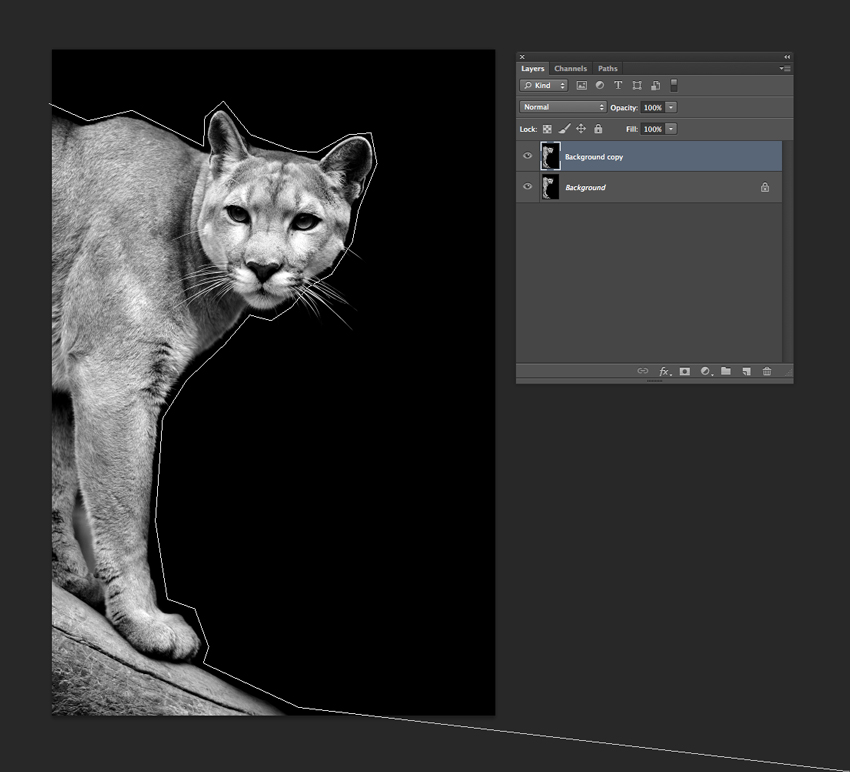 How to Make a Magazine From a Creative InDesign Template