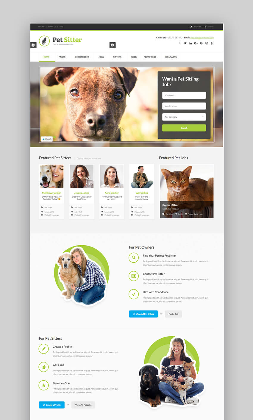 17+ Best Job Board WordPress Themes for 2017 Listing Sites