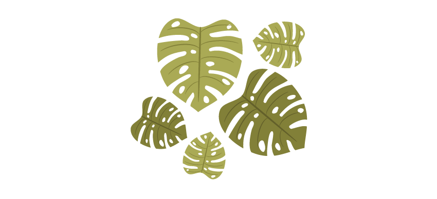 35+ Ide Background Ppt Daun Monstera Panda Assed