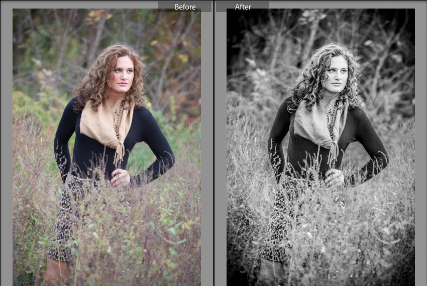 50 Free Lightroom Presets for BlackandWhite Photography and How to