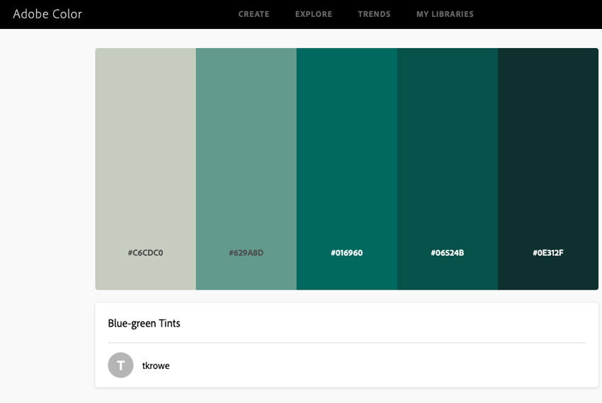Web Development How to Choose the Best Presentation Color Palettes