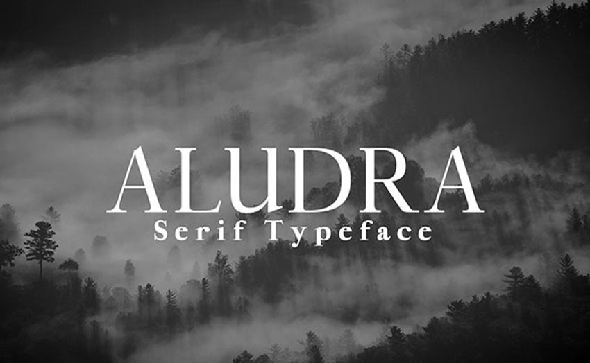 36 Best Transitional Typefaces (Fonts to Download)