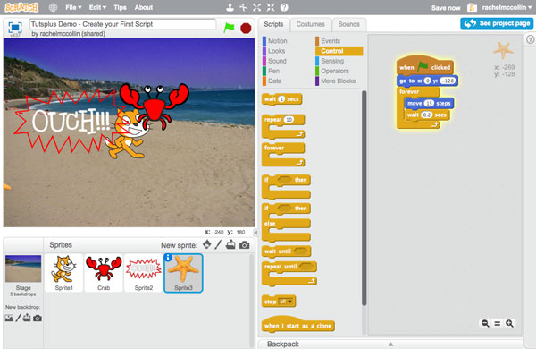 Creating Your First Script in Scratch