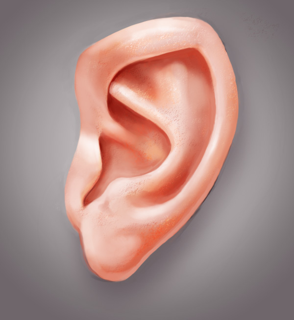 How to Paint a Realistic Ear in Adobe