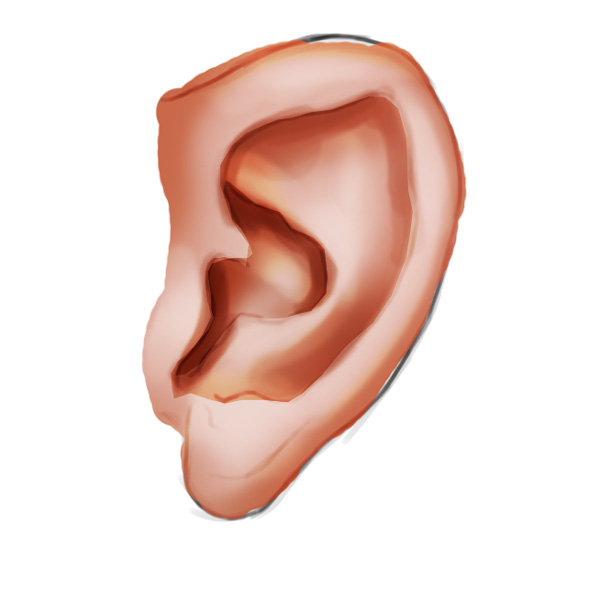 How to Paint a Realistic Ear in Adobe