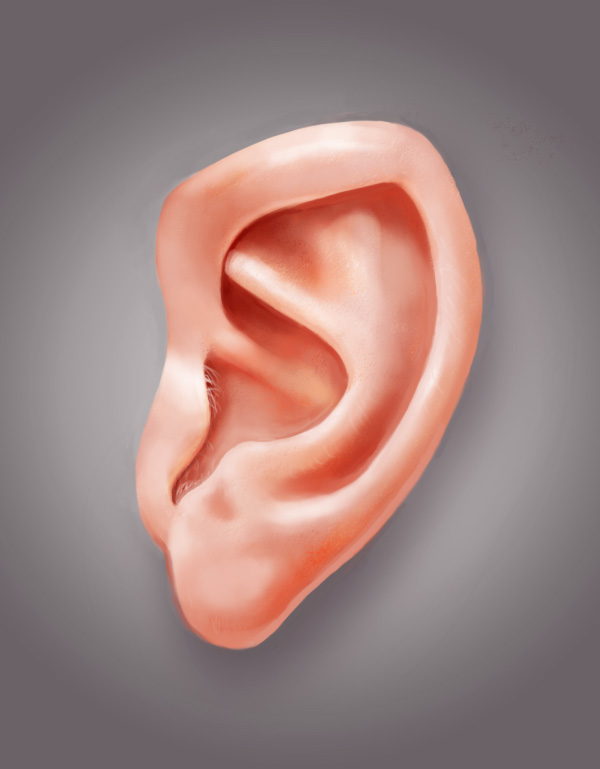 How to Paint a Realistic Ear in Adobe