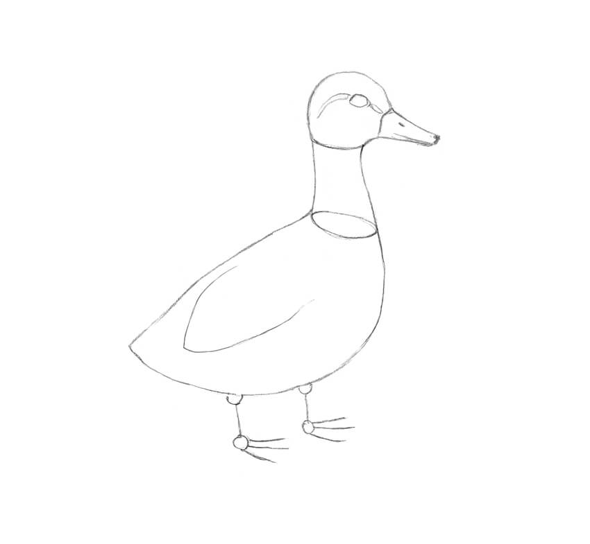 How to Draw a Duck