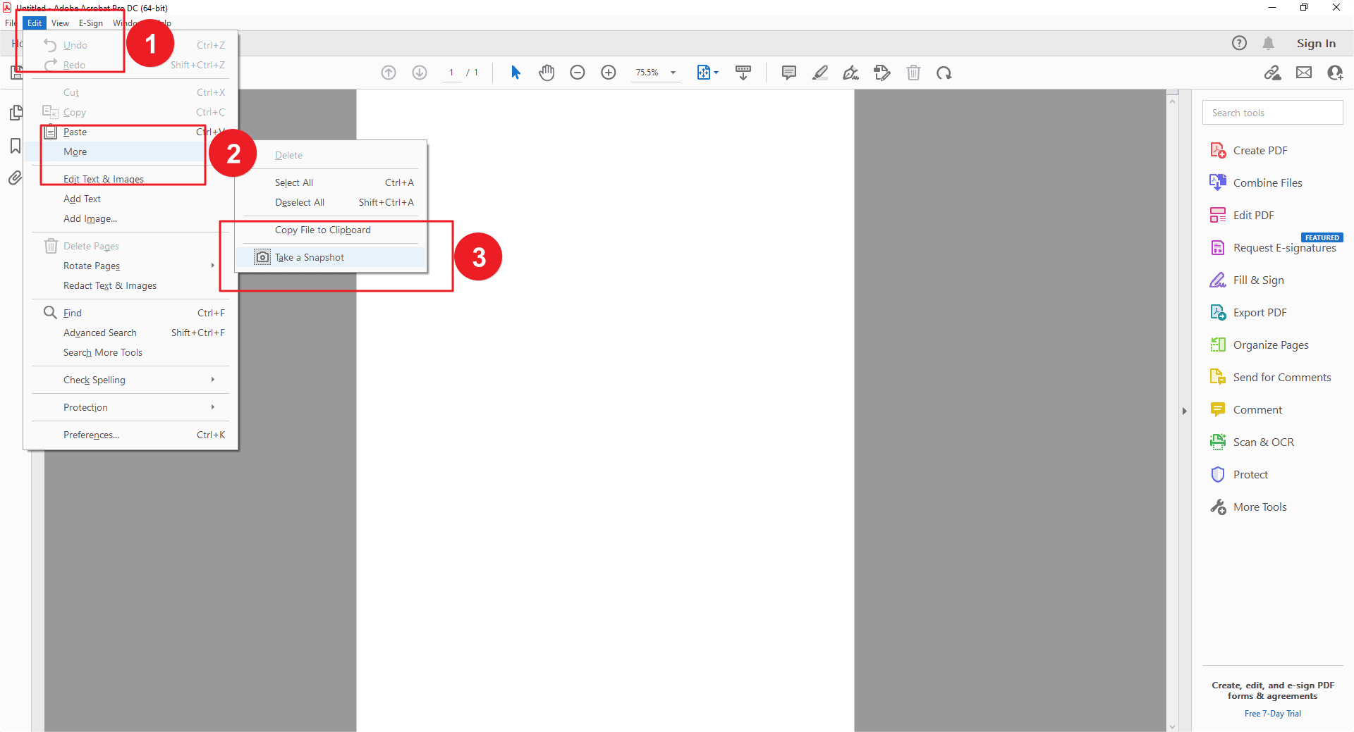 How to Save or Convert a Screenshot to PDF PDF Agile
