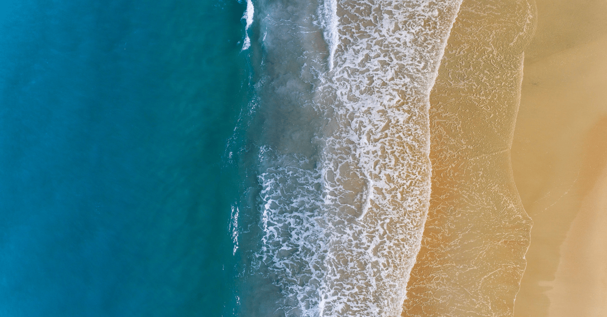 How to Add Transitions on Google Slides? SlidesAI Blog