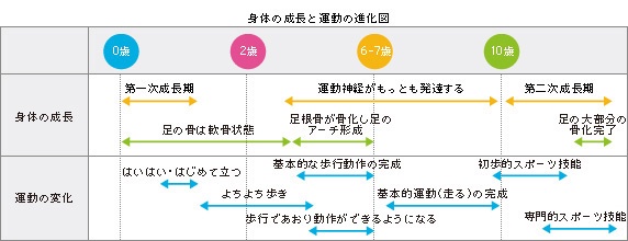 子供 成長 セット イラスト素材 [ 2989026 ] - フォトライブラリー Photolibrary Asics公式】子供の身体の成長過程と足の特徴｜アシックス