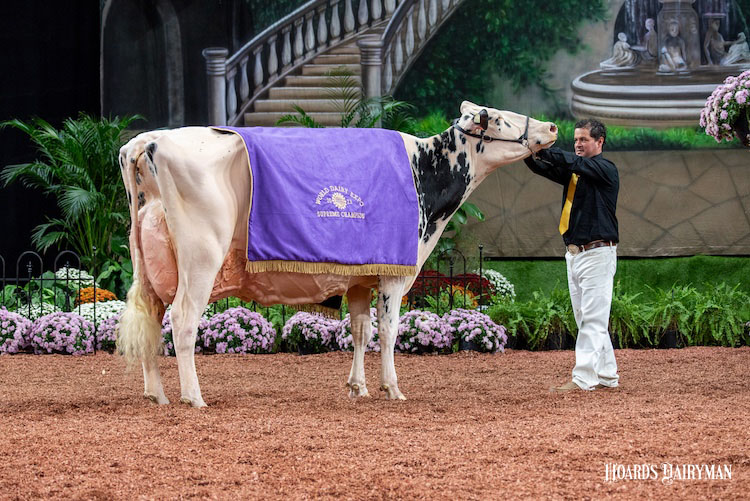 A new twotime Supreme Champion