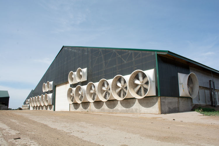 lavirint Gostoprimstvo težiti barn ventilation