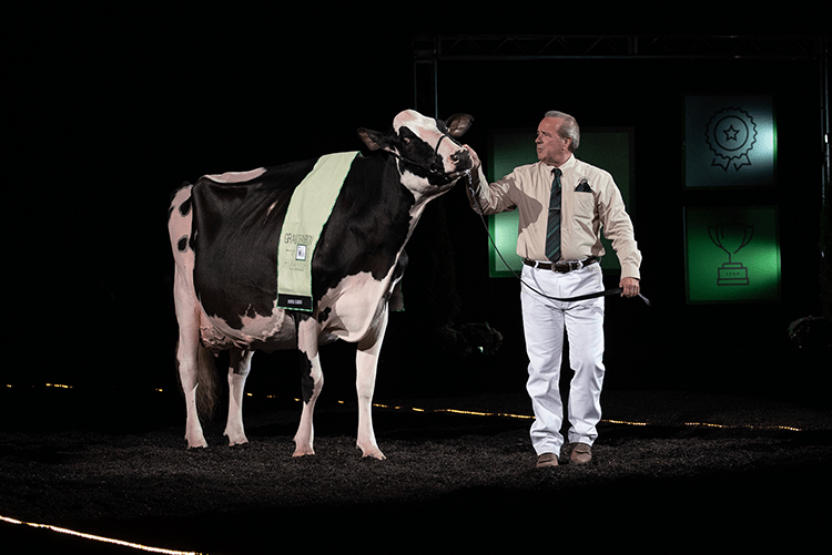 Footloose cuts her way into the winner’s circle