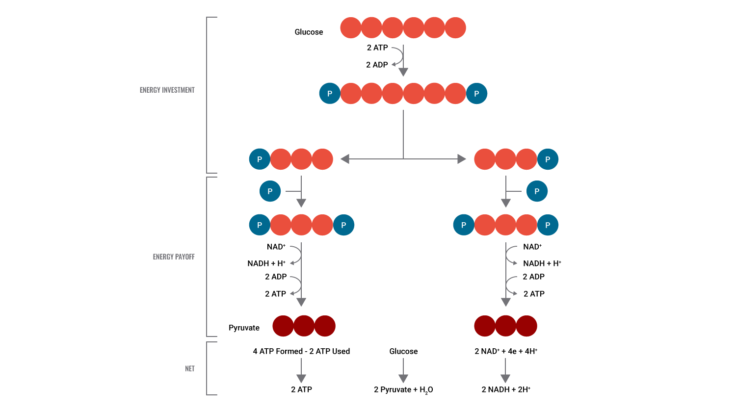 Energy Systems (D) Test Website