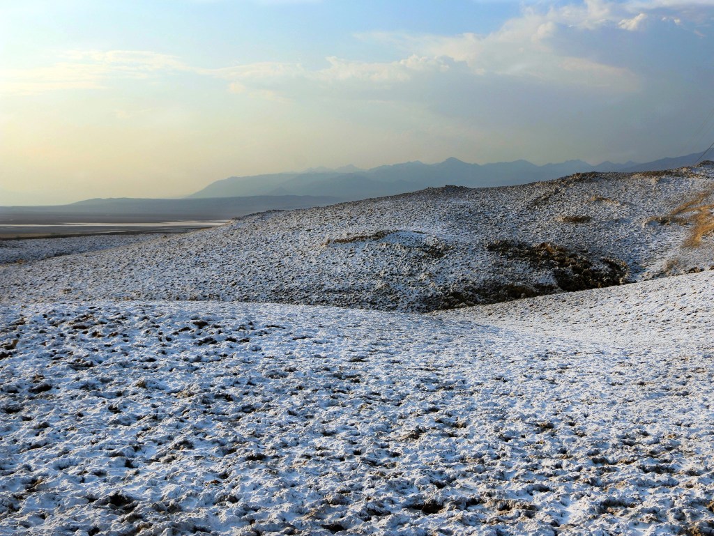Desert showers bring 'salt flowers' to Death Valley
