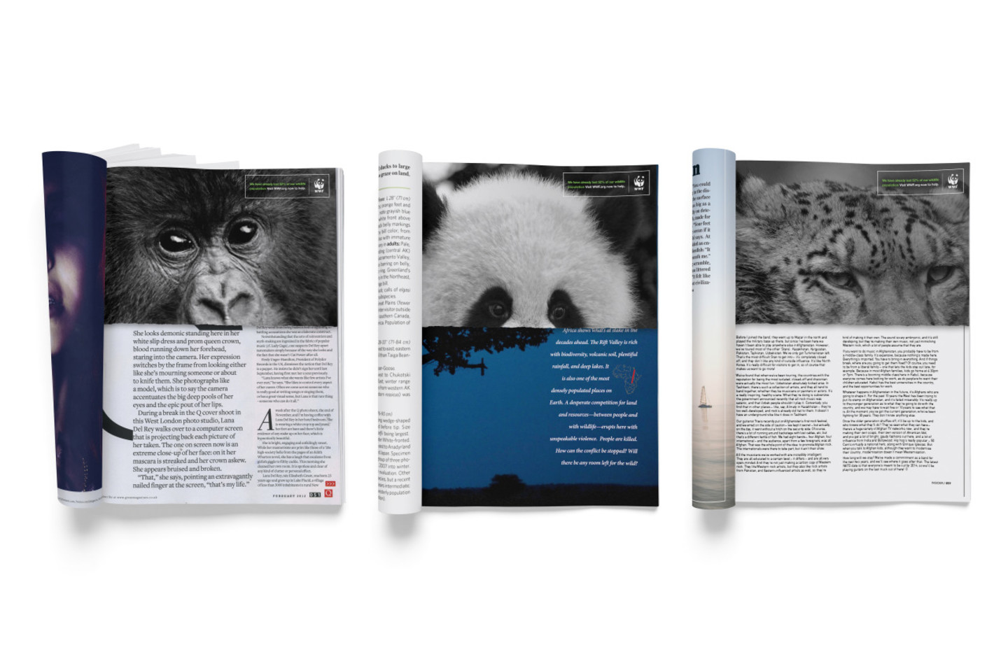 ArtCenter Gallery World Wildlife Fund by Teague Miller and VIcky Mo