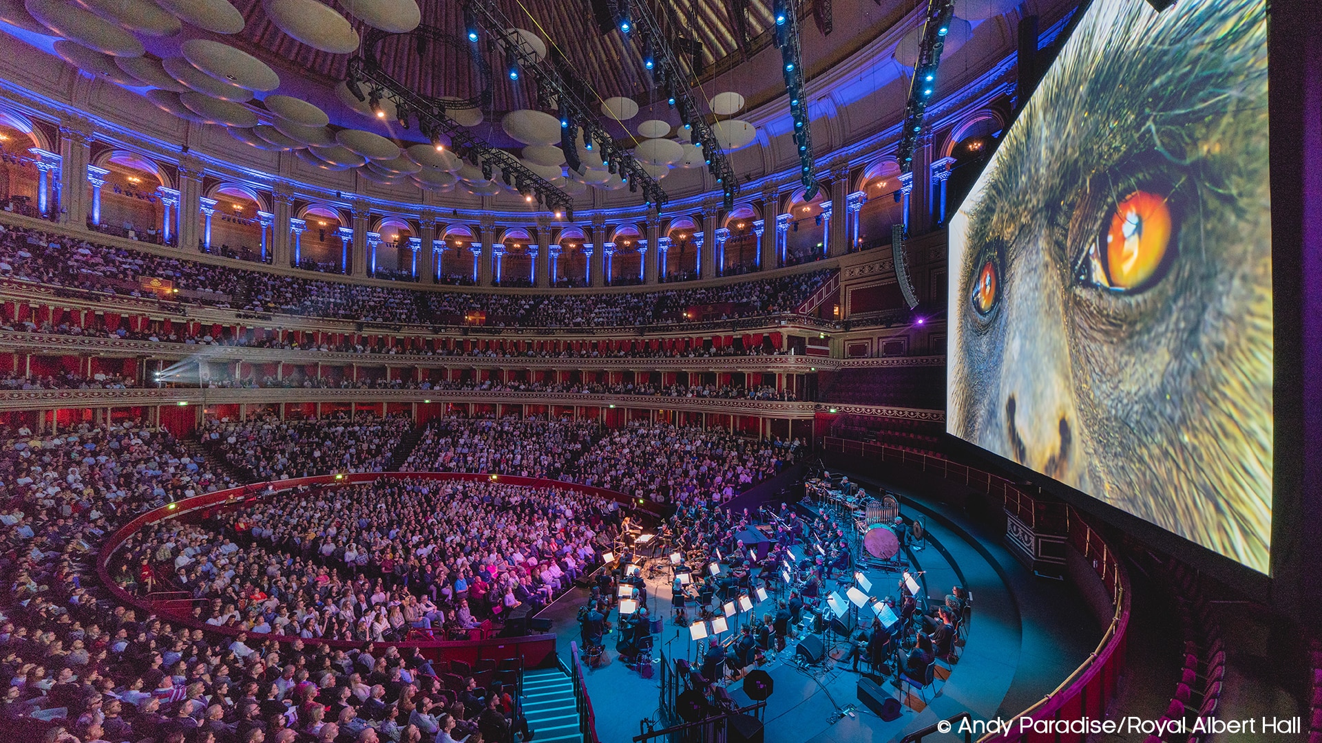 Experiences BBC Earth