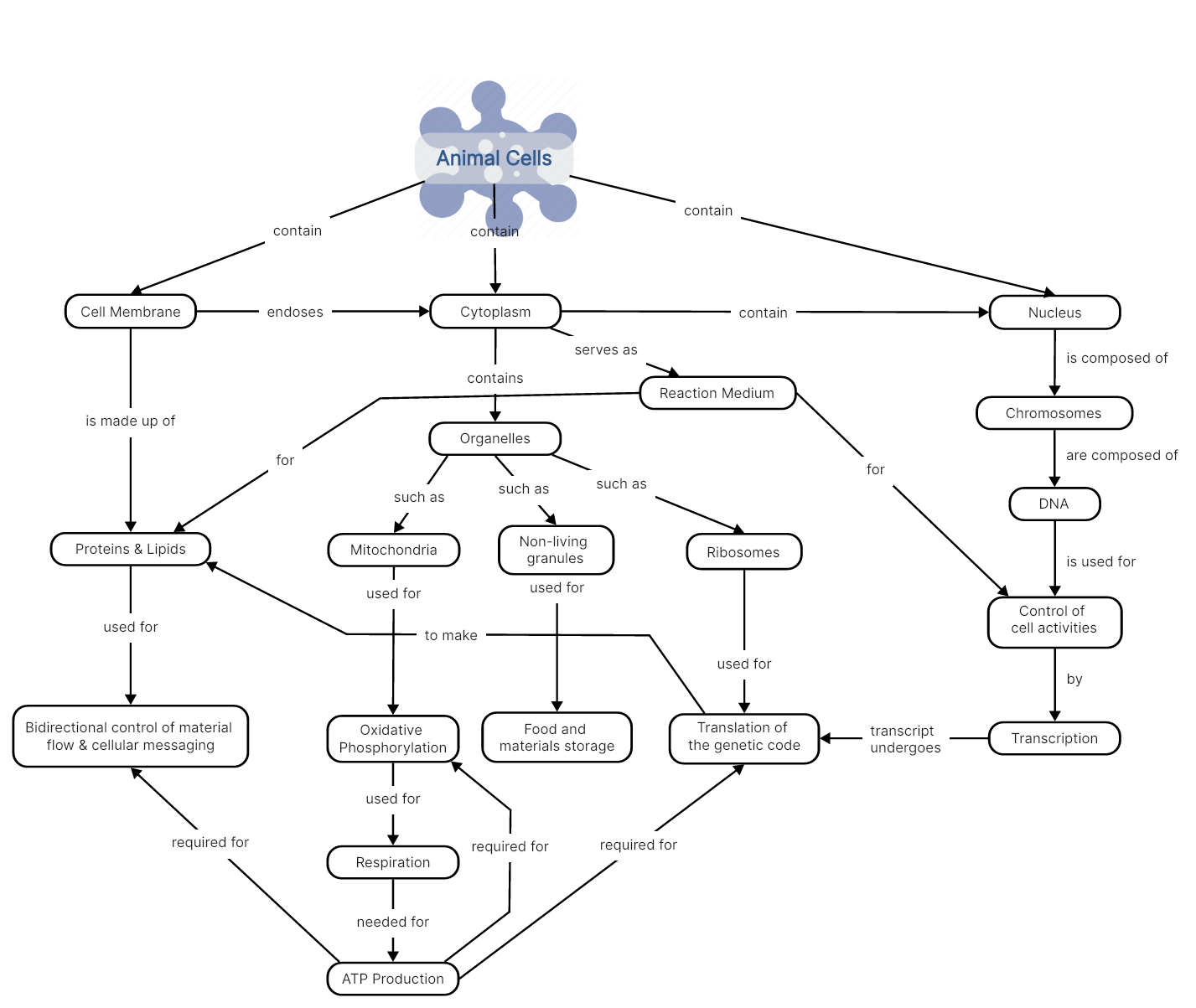 Cellular Respiration Concept Map Answer Key