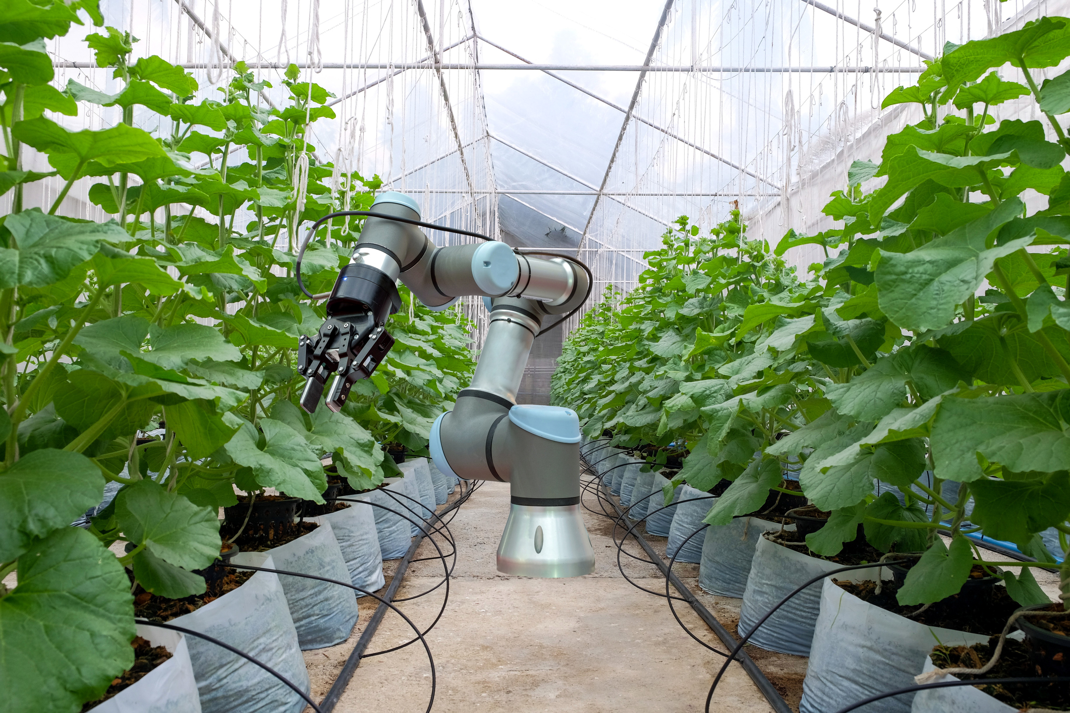 Agritechnology Canberra