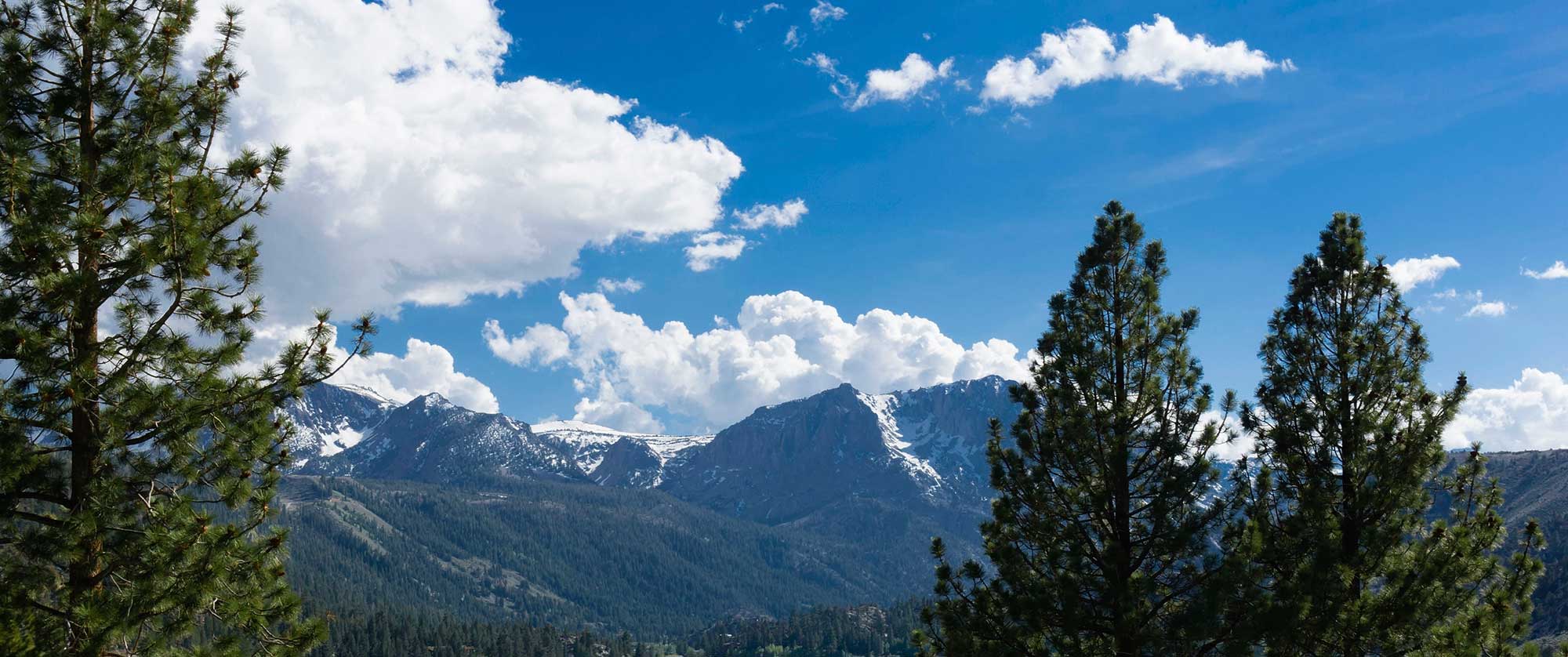 Vern Pierson El Dorado County District Attorney (DA) California