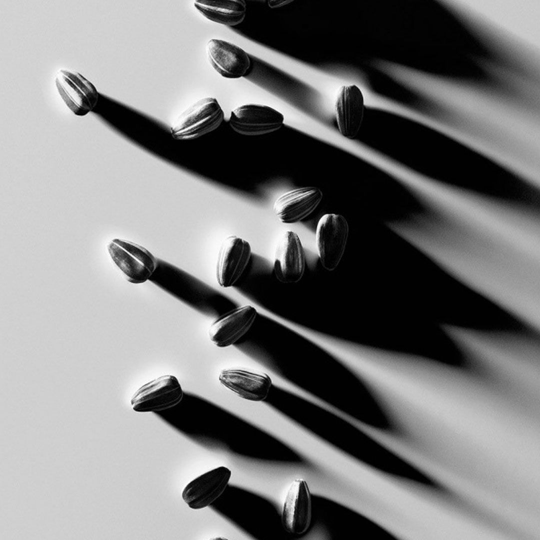 5 Best Tips to Improve Product Photography Lighting Setup DoMyShoot