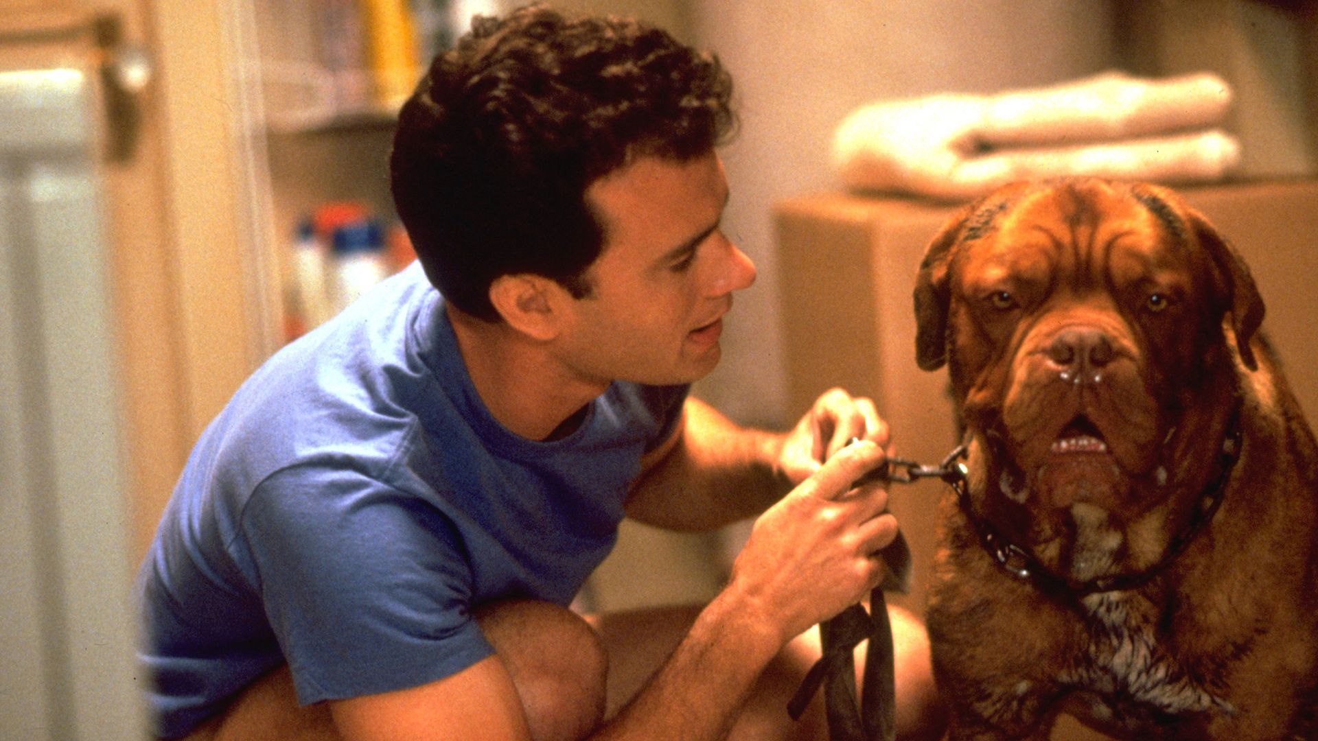 Movies you didn't expect to be on Disney+
