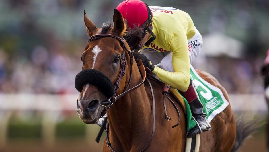 Horse Racing Horse Racing Entries Horse Racing Results Past