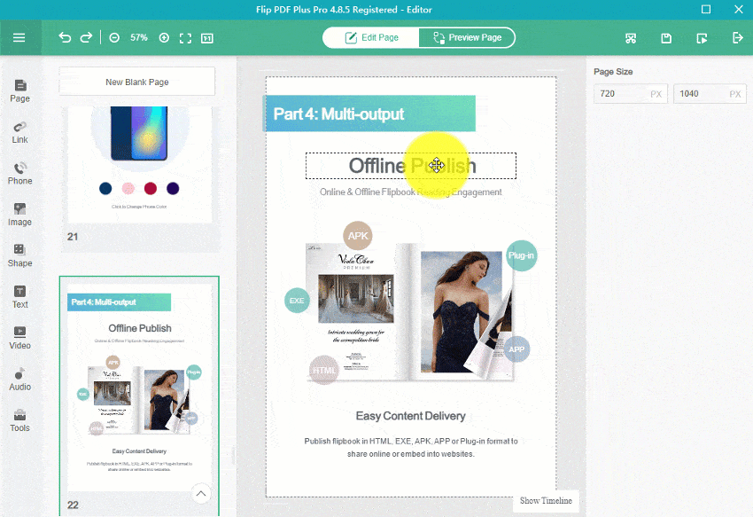 How to show/hide an image when I click specific words in the flip book
