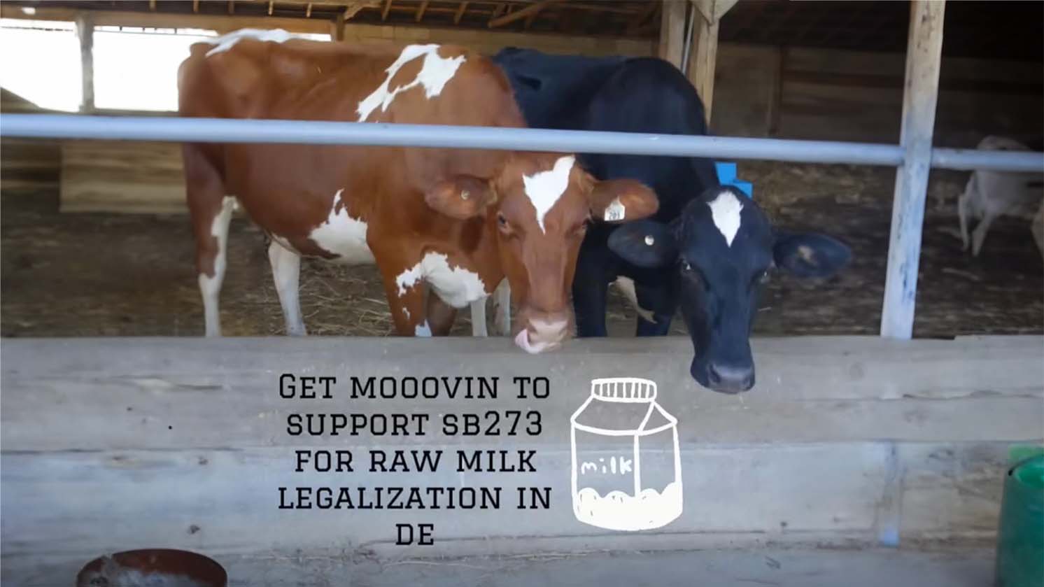 Get Raw Milk Find your local source