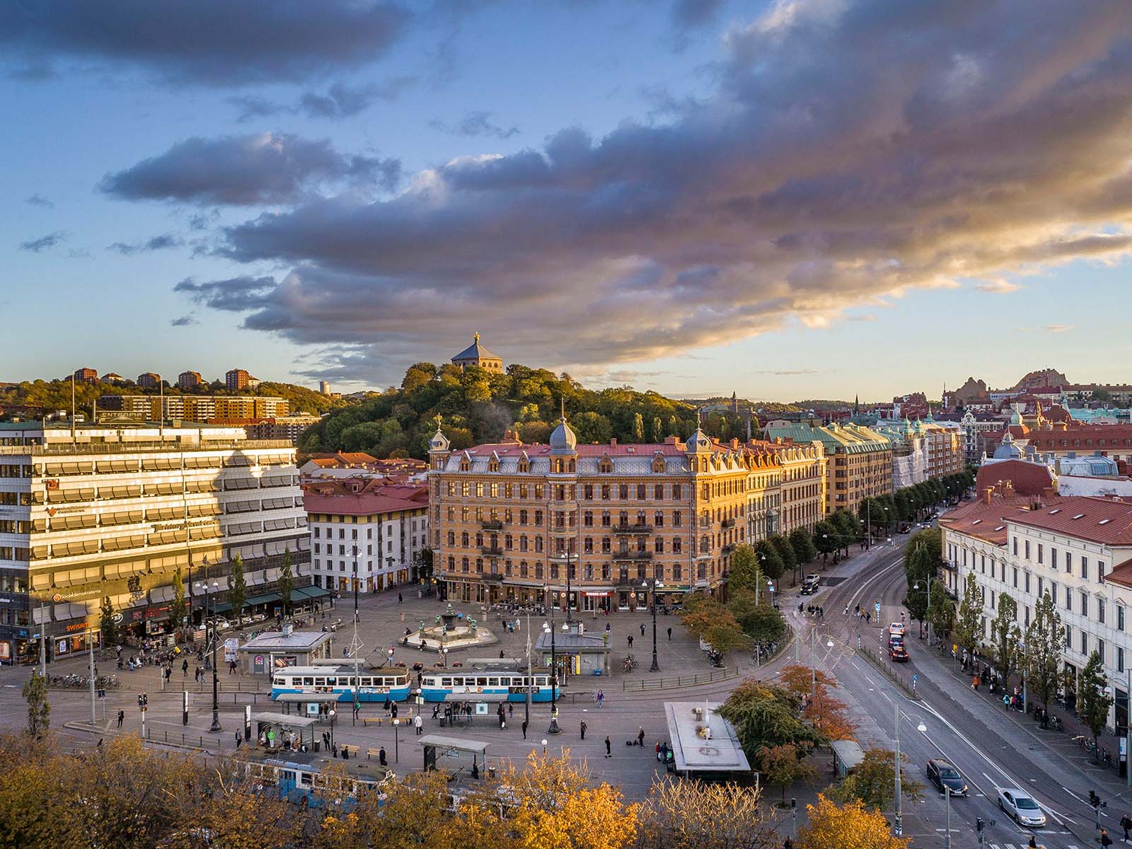 Guide till Film Festival