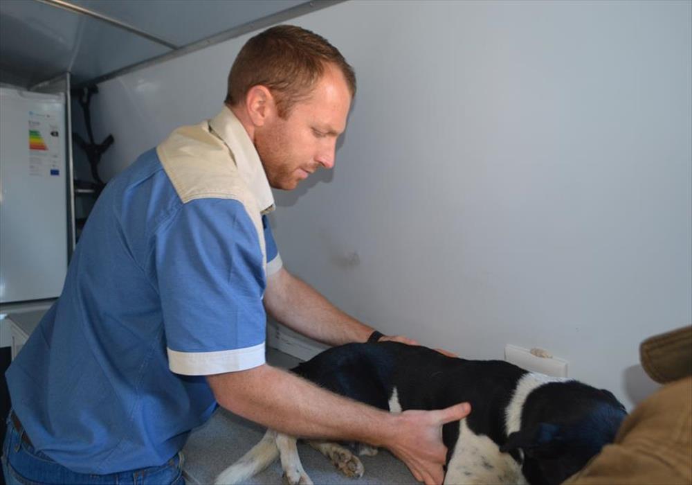 Mobiele dierekliniek vir Oudtshoorn Oudtshoorn Courant