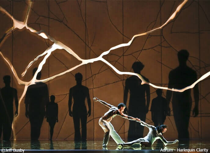 Harlequin Clarity And The Australian Ballet Harlequin Floors