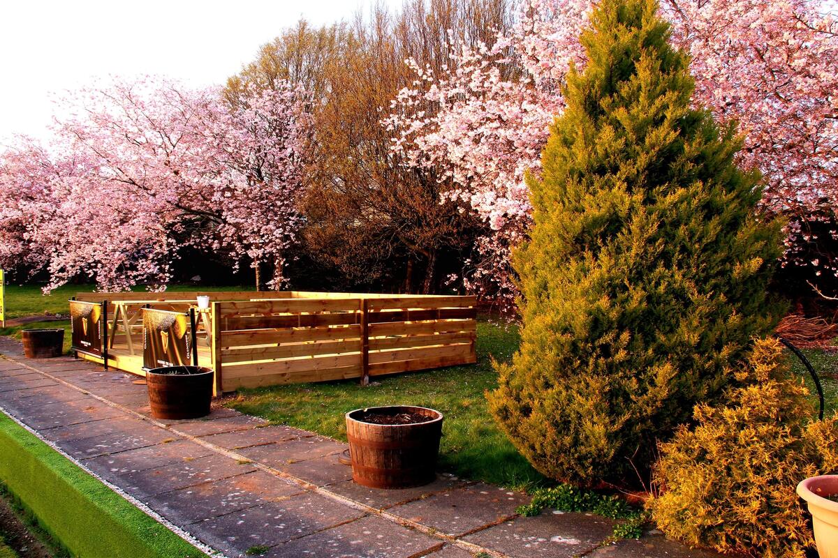 Club Photos Northwest Kilmarnock Bowling Club Northwest Kilmarnock