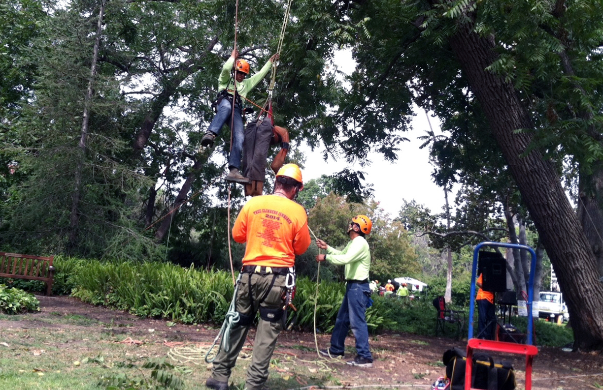 Helping to Increase Electrical Safety Awareness Among SpanishSpeaking
