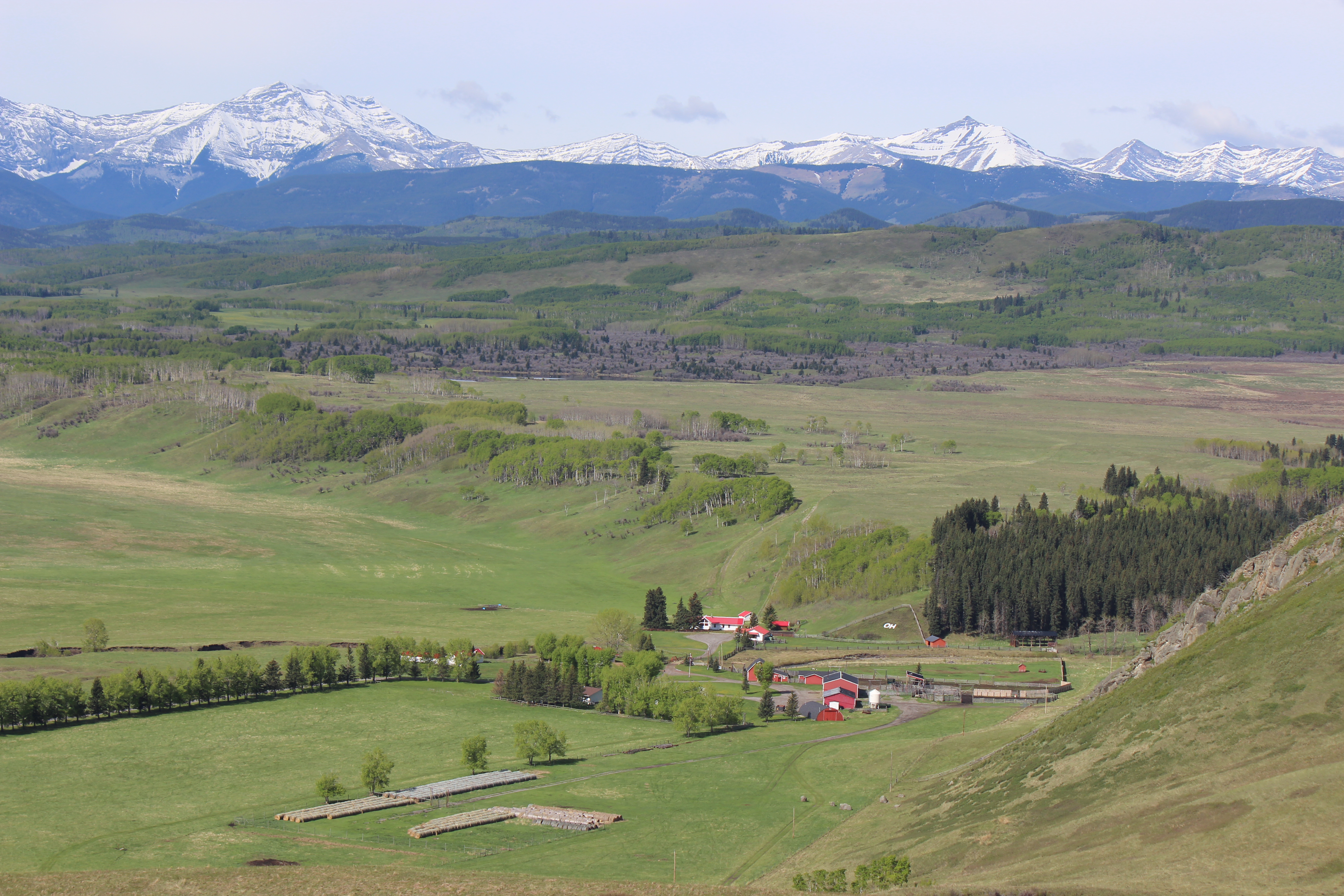 Media Advisory Calgary Stampede’s historic OH Ranch to participate in