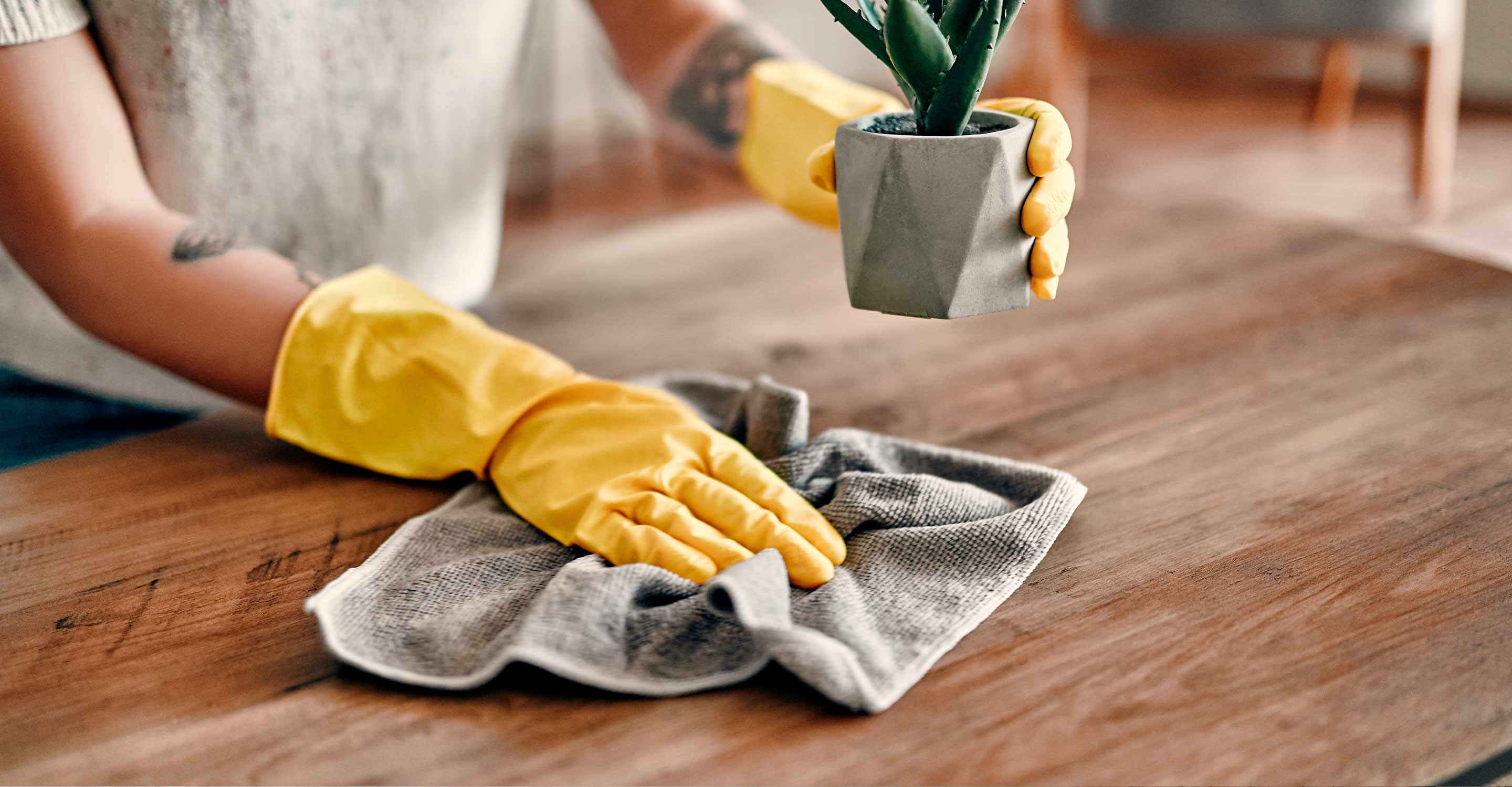DustFree Air Guide to Using an Air Purifier for Dust