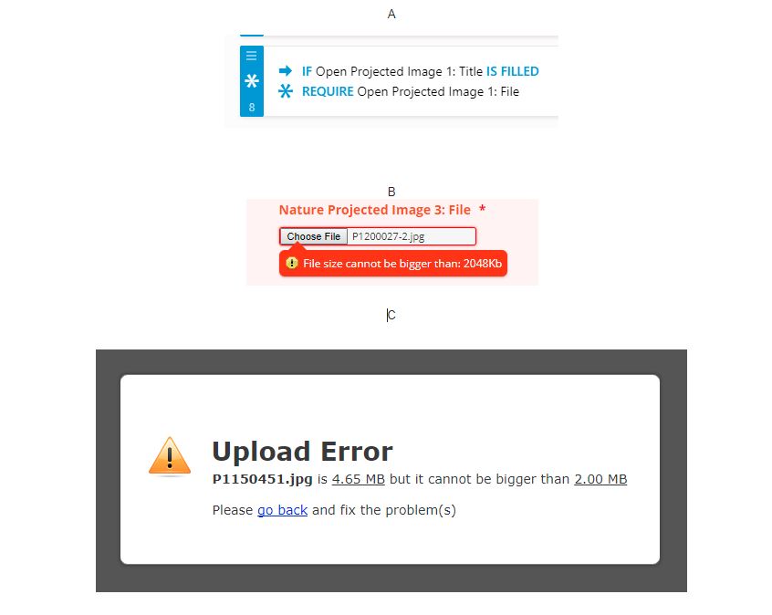 File upload element with required/unrequired condition doesn't trigger