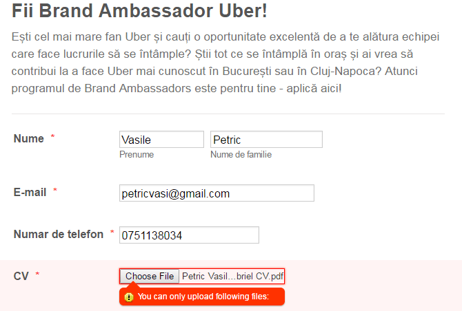 What kind of form can I upload? I can&rsquo;t upload my cv