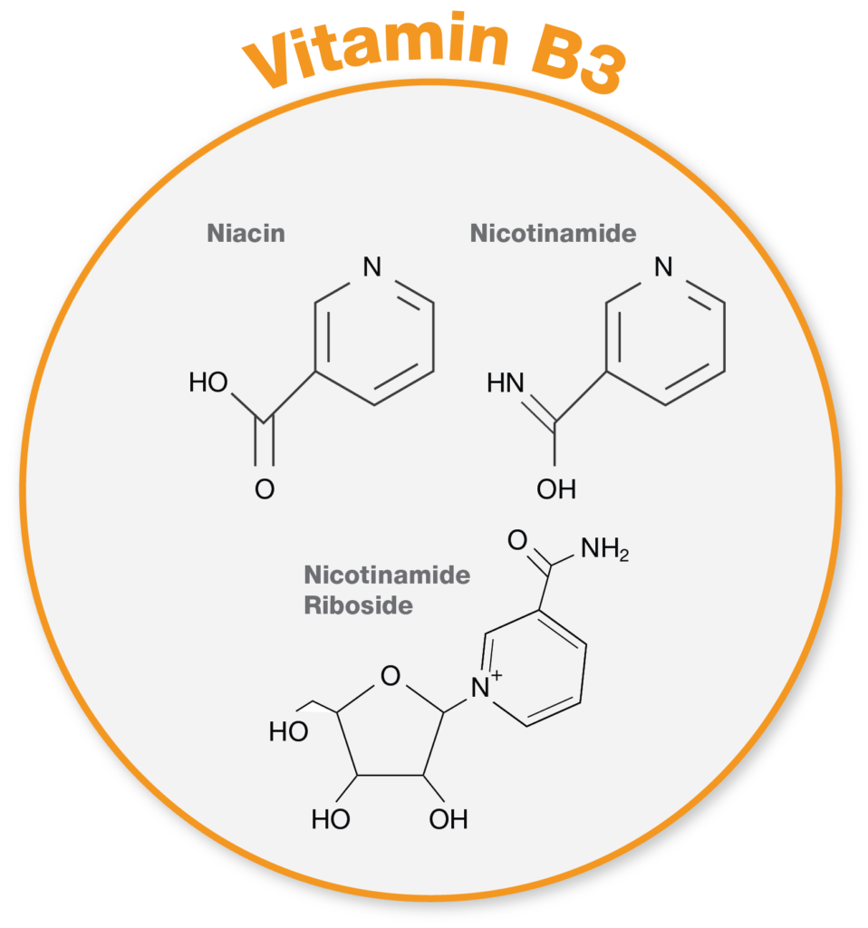 A New Perspective on NR Supplementation