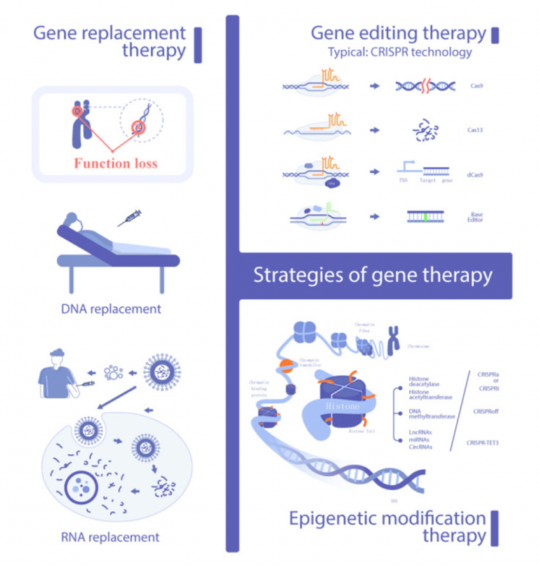 Manipulating Aging through CuttingEdge Gene Therapies Manipulation