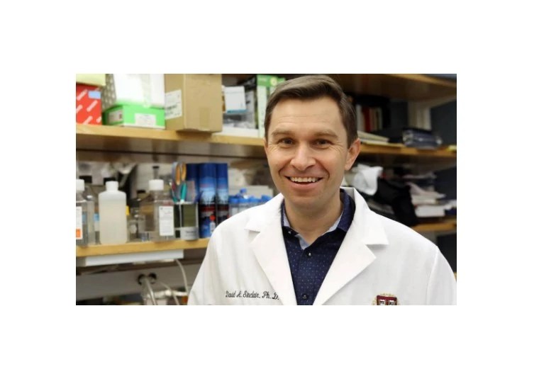 Harvard’s David Sinclair Unveils AgeReversing Small Molecule Cocktails