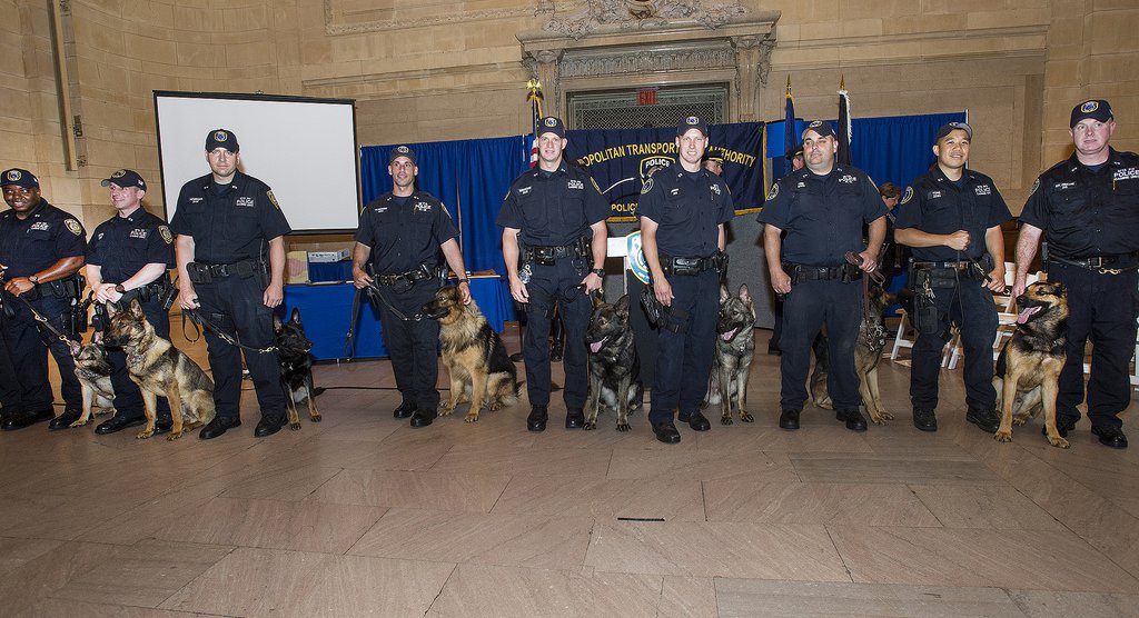 Photos, Video Eight Awesome Dogs Join The MTA Police K9 Unit Gothamist