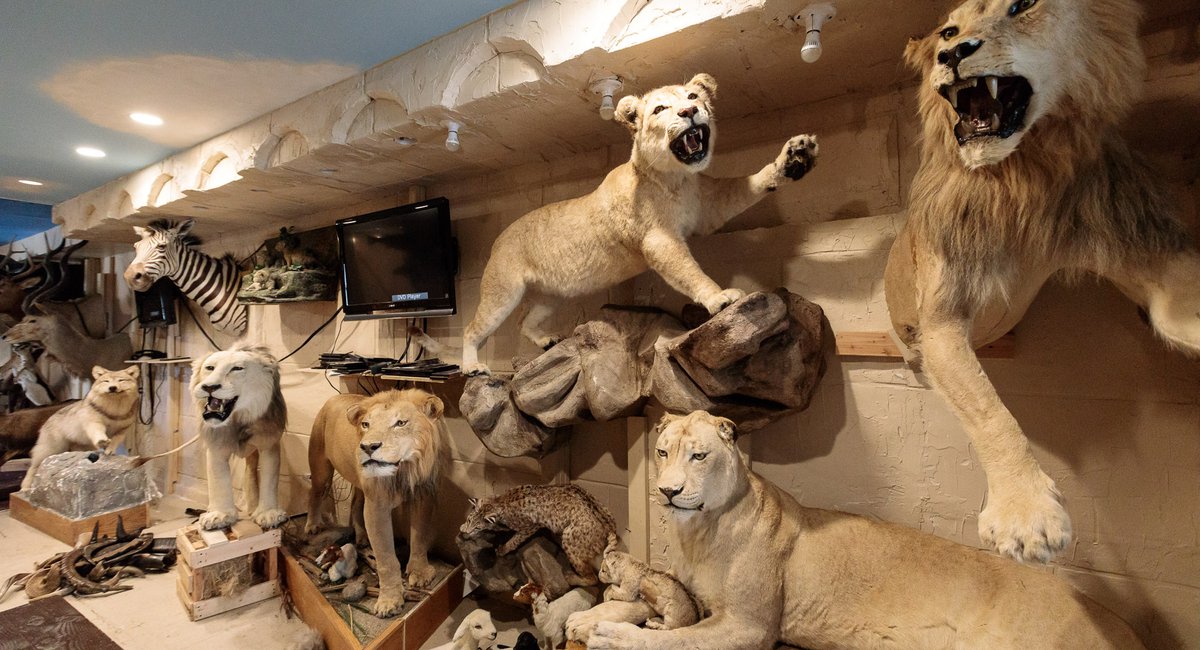 Torah Animal World, The Most Delightfully Specific Museum In NYC, Is