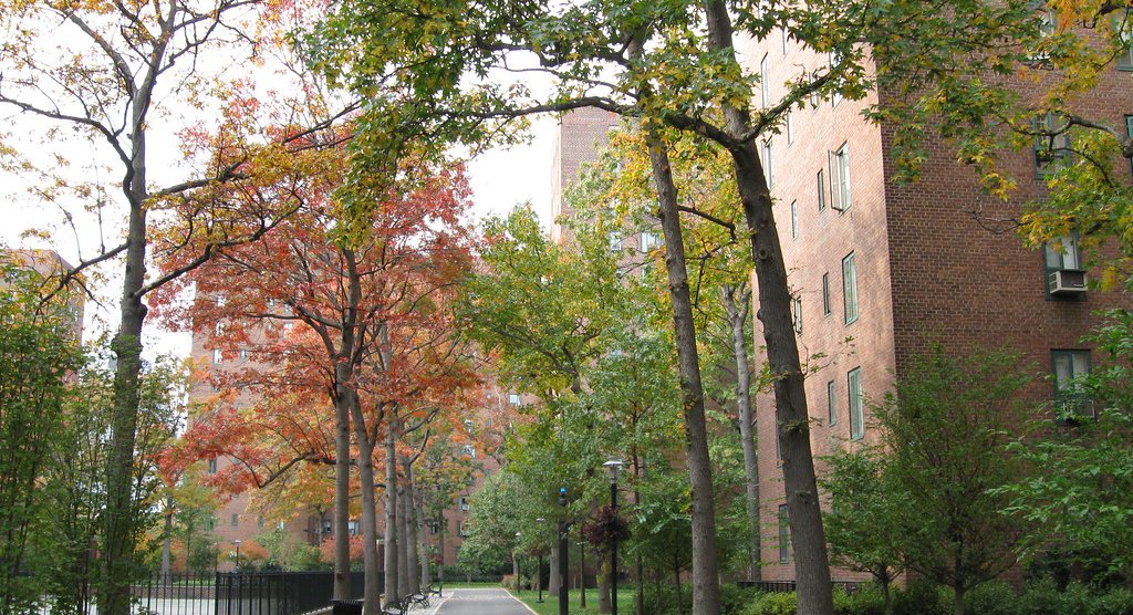 Stuy Town's Landlord, The World's Largest Private Equity Firm, Is